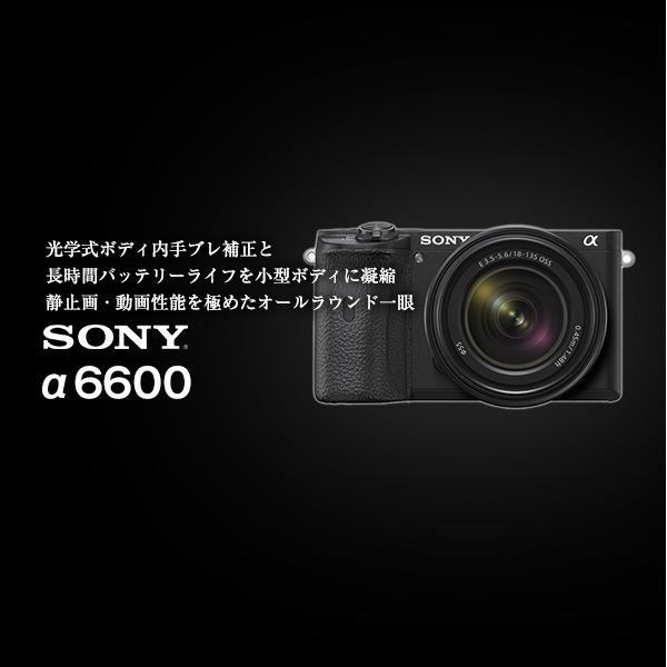 SONY ソニーα6600 | カメラのキタムラネットショップ