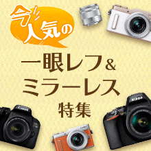 デジタル一眼レフ｜nikon d3100 商品一覧｜カメラのキタムラ