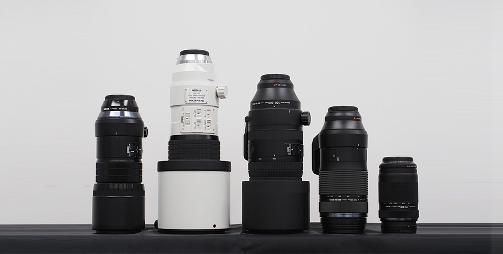 野鳥好き必見】野鳥撮影の世界をもっと楽しむための、最適なカメラ