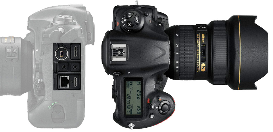 Nikon D5 デジタル一眼レフカメラ！ニコンFX機 新製品 | カメラの