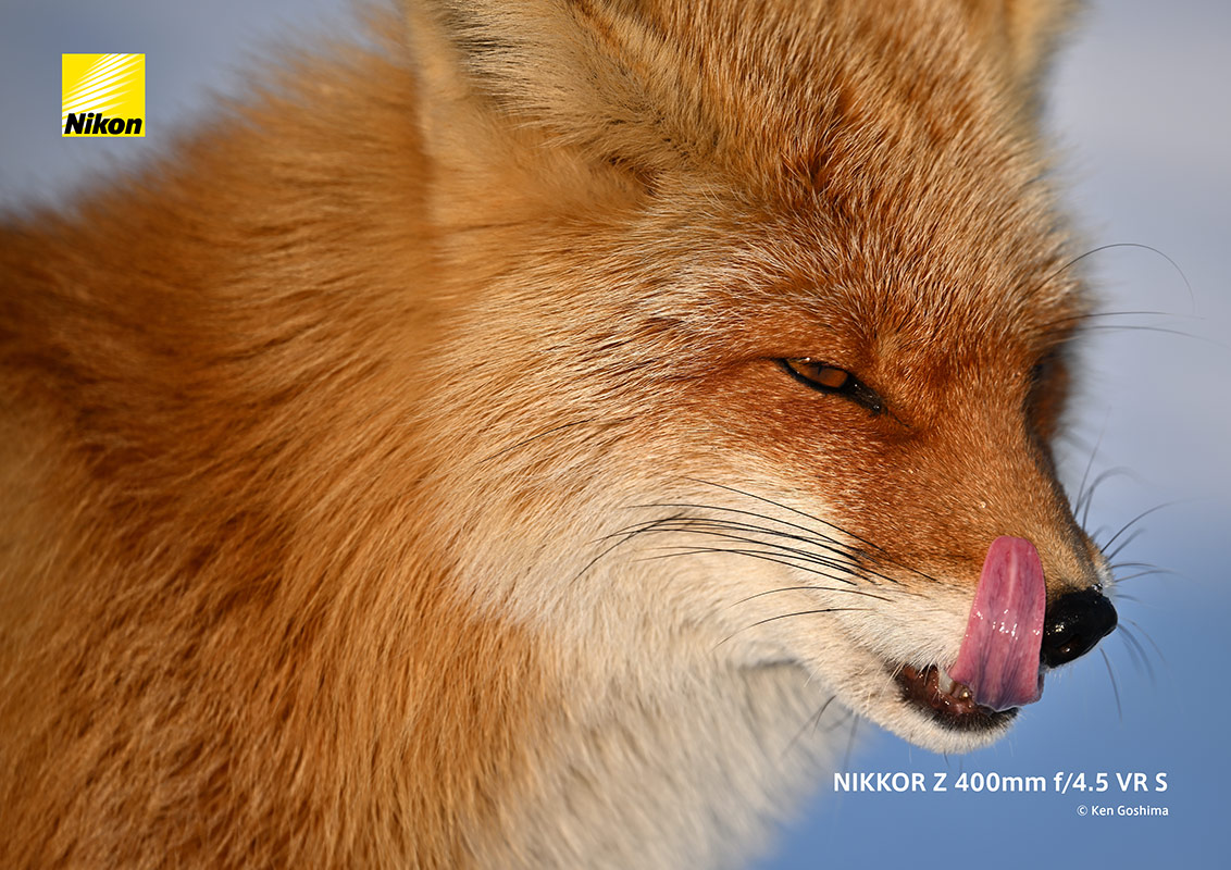 ニコン NIKKOR Z 400mm f/4.5 VR S | カメラのキタムラネットショップ