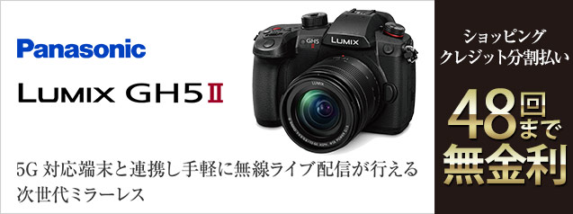 パナソニック LUMIX DC-GH5M2 | カメラのキタムラネットショップ