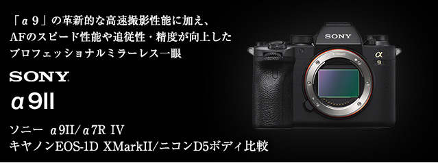 新製品 SONY ソニーα9Ⅱ 発売中！ | カメラのキタムラネットショップ