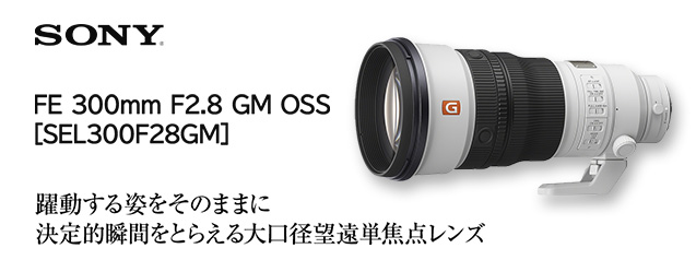 ソニー FE 300mm F2.8 GM OSS | カメラのキタムラネットショップ