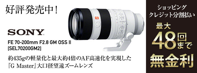 ソニー FE 70-200mm F2.8 GM OSS II | カメラのキタムラネット