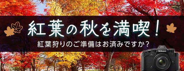 紅葉の秋を満喫！紅葉狩り特集 | カメラのキタムラネットショップ