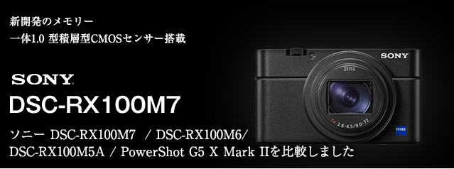 SONY Cyber-shot DSC-RX100M7