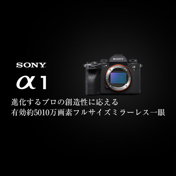お買い得 売り切り SONY a1 ILCE-1 ソニーa1 - デジタルカメラ