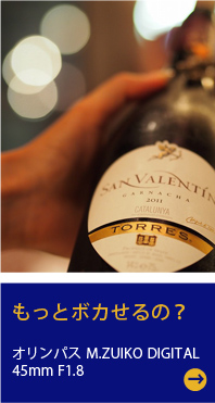 オリンパスおすすめの交換レンズ Forミラーレス マイクロフォーサーズ カメラのキタムラネットショップ