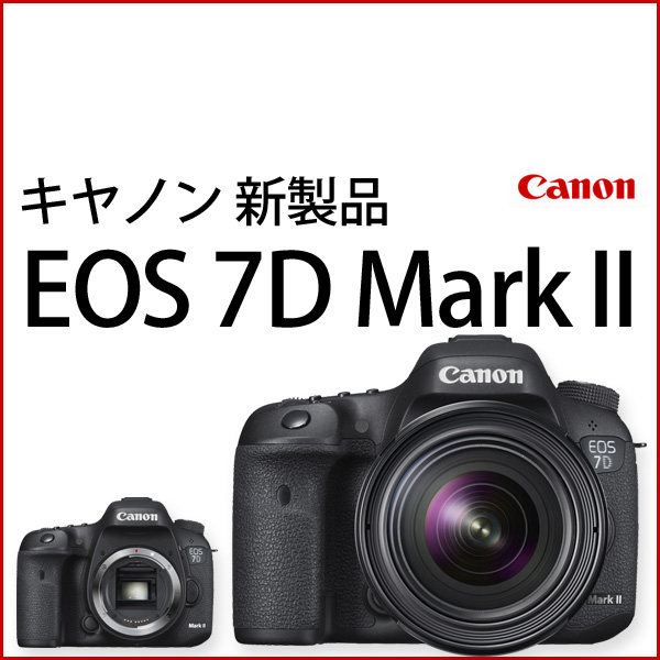 キヤノン EOS 7D Mark II 一眼レフ新製品 | カメラのキタムラネット ...