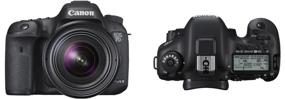 カメラ デジタルカメラ キヤノン EOS 7D Mark II 一眼レフ新製品 | カメラのキタムラネット 