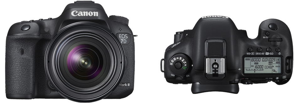 キヤノン EOS 7D Mark II 一眼レフ新製品 | カメラのキタムラネット ...