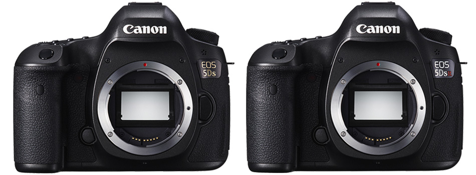 canon EOS 5Ds/5Ds R 一眼レフ新製品 | カメラのキタムラネットショップ