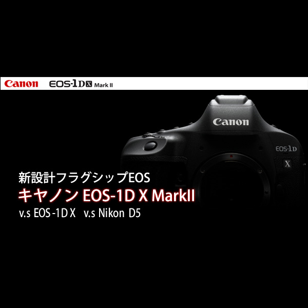 超美品 大特価 CANON EOS 1DX Mark2 2019/11新品購入