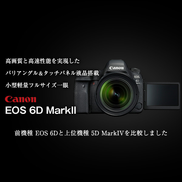 キヤノン フルサイズデジタル一眼レフ 新製品 EOS 6D MarkII | カメラ 