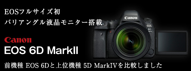 キヤノン フルサイズデジタル一眼レフ 新製品 EOS 6D MarkII | カメラ