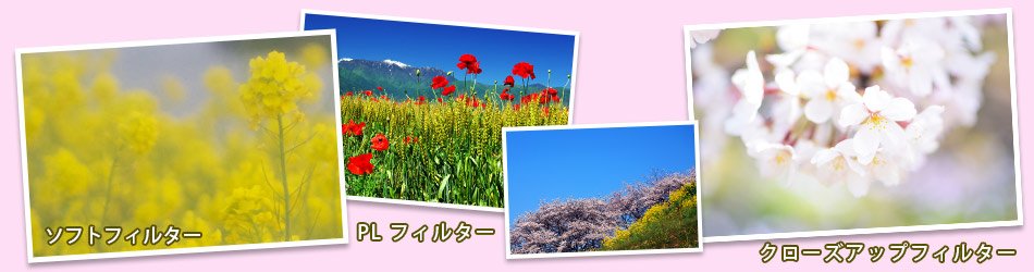 カメラレンズフィルターで写真がもっと楽しくなる 種類 選び方 効果 カメラのキタムラ